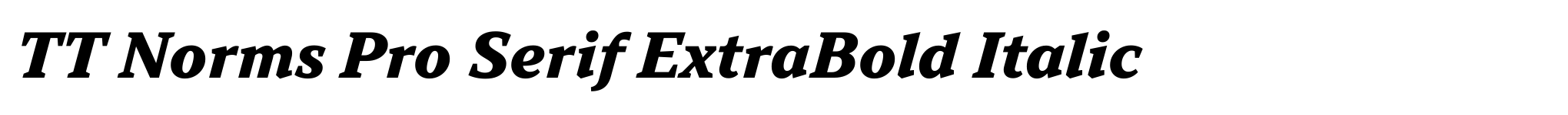 TT Norms Pro Serif ExtraBold Italic image